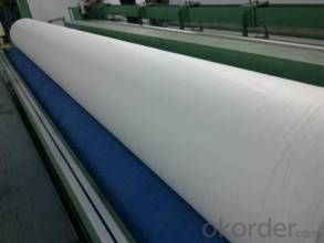 Needle Punched Coconut Coir Fibre Sheet for Mattress or Geotextile in 2015