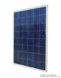 Poly Crystalline Solar Panel RS195（P）-48