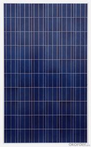 260w Polycrystalline Solar Module / Solar Panel