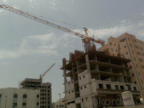 construction building tower crane for sale System 1