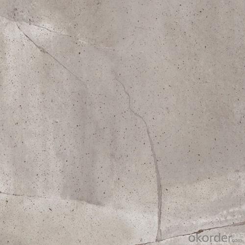 Glazed Porcelain Tile Sandstone series SA60A System 1