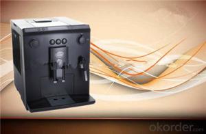 Semi Automatic Cafe Roma Espresso Machine Espresso Machine from CNBM China System 1