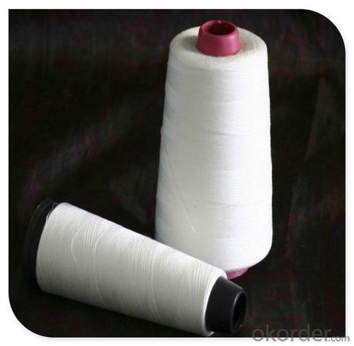 PVA Water Soluble Sewing Thread made in China System 1