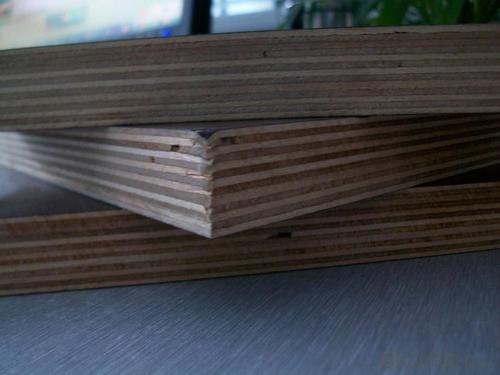 Brown Film Faced Plywood Shuttering Plywood - Sheet of Plywood Size System 1