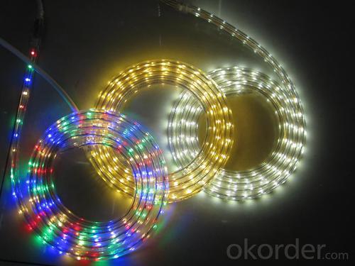 29V 240Leds/Meter 3014 Led Strip Lights System 1