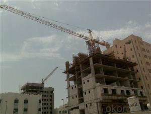 High Performance TC4808 Tower Crane with Good Quality System 1