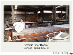 Thermal Insulation 1260ceramic Fiber Blanket for EAF Made In China