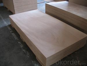 Chanta Professional Plywood Manufacturer System 1