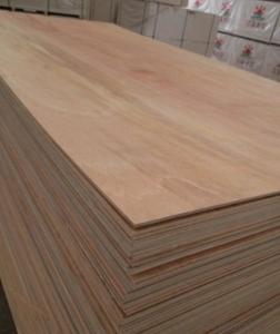 1220*2440 1250x2500mm Plywood China supply