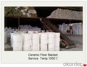 SGS Ceramic Fiber Blanket for Steel Furnaces Made In China System 1