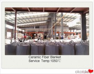 Blown Up Ceramic Fiber Blanket for Steel Furnaces Made In China System 1