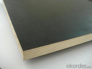 Finger Jointed Shuttering Plywood for Building Usage