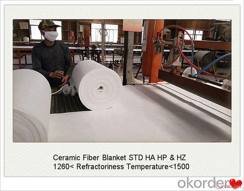 Ceramic Fiber Blanket for Coke Oven Doors in Steel Factories System 1