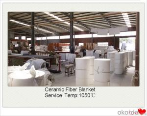 2''x24''x144'' Ceramic Fiber Blanket for Glass Kiln Made In China System 1
