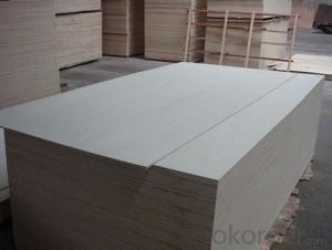 Professional Film Faced Plywood Manufacturer System 1