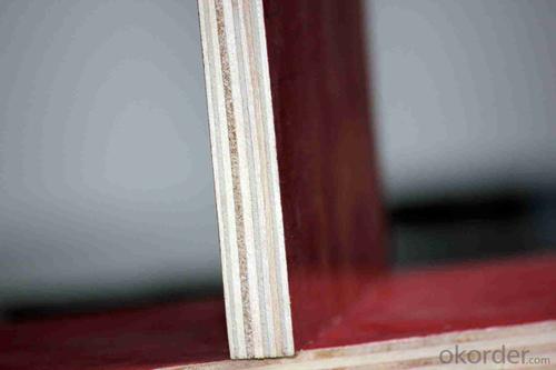 Atlantic Plywood 15mm Finger Jointed Film Faced Plywood for Building Usage System 1