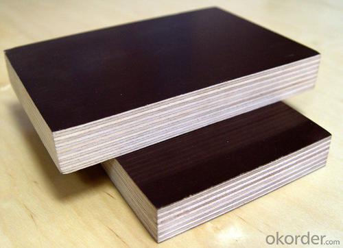 White Oak Plywood 3/4" 18mm Shuttering Plywood Finger Jointed Plywood for Building Usage System 1