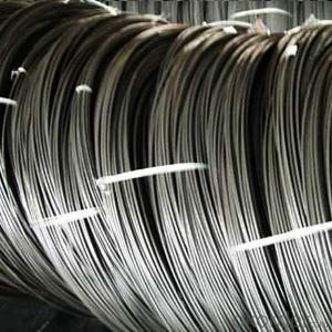 Coils Steel Hot Rolled Wire Rod with Grade Q195