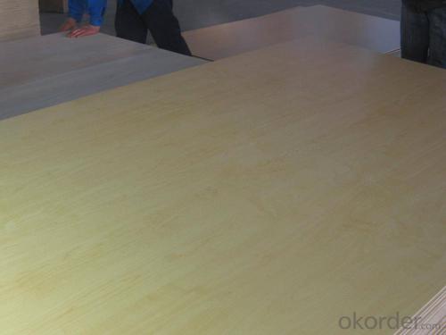 Oak Plywood - Good Quality with Low Price System 1