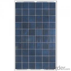 Poly 260W-300W Solar Panel CE/IEC/TUV/UL Certificate