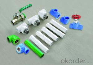 PPR All Plastic Fittings Pipe Plastic Material Equal Tee T20-110