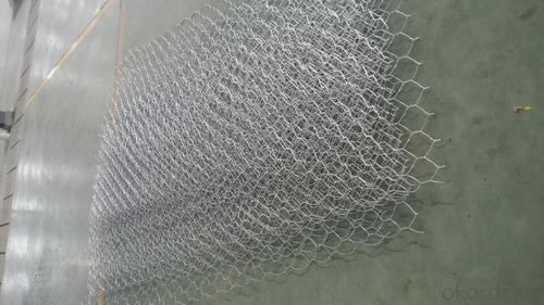 Biaxial Geogrids Suppliers Oklahoma USA - PVC Coated Hot Dipped Gabions Net for Highway System 1