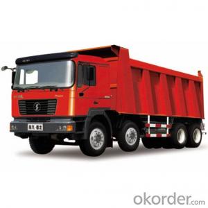 Dump Truck  Hot Sale  HOWOwith 336-420HP System 1