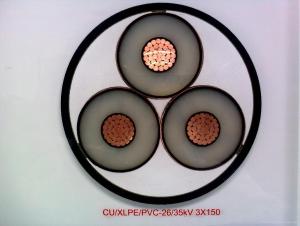 Prefabricated Branch Cable  Special Cable of This System