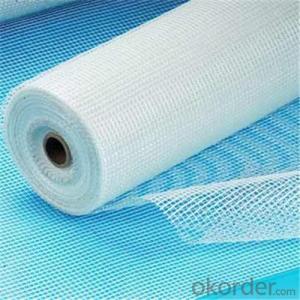 Fiberglass Mesh Cloth 130g/m2  2.5*2.5/Inch With Good Tensile Strength Good Price System 1
