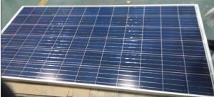 Poly Crystalline Solar Panel with 120 to 300W Power