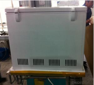 Solar Powered Freezer With Loading Capacity 318L