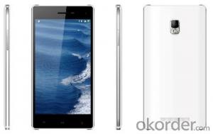 OEM Smartphone Octa Core Dual SIM Smart Phone 5" Mtk6592 Android 4.4 Cheap Smartphone