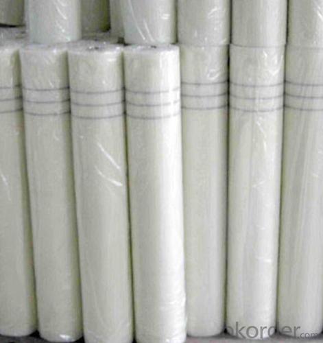 Fiberglass Mesh Cloth - White Mesh EIFS System with CE Certificate and High Tensile Strength System 1