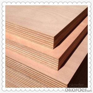 Veneered Okoume Material Marine Plywood of High Quality System 1