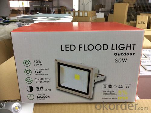 LED FLOOD LIGHT 30W System 1