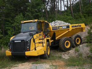 Dump Truck Used  (2010, load: 10t) System 1