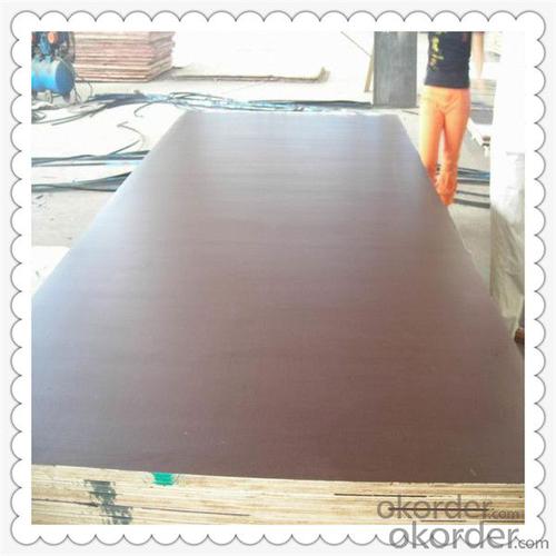 1220*2440*18mm Thickness Commercial Plywood with Lowest Price System 1