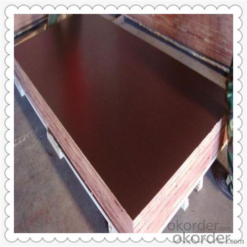 Commercial Plywood with High Quality 1220*2440*18mm Thickness System 1