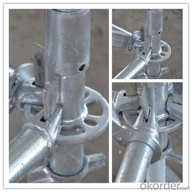Plastic Scaffold System Formwork System Formwork Steel Props