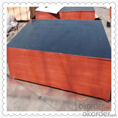 Film Black Color Poplar Film Faced Plywood System 1