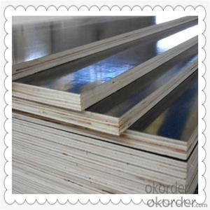 Poplar Material Film Faced Plywood with Highest Quality System 1