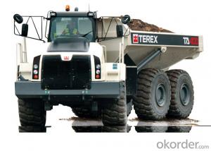 Dump Truck 8X4 30ton for Sale System 1
