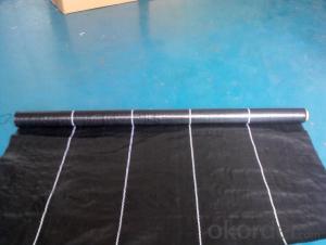 Agricultural Black PP Weed Barrier Fabric on Sale System 1