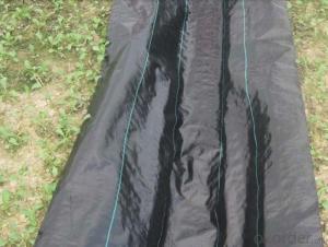 PP Weed Barrier Fabric For Garden Nusery Orchard