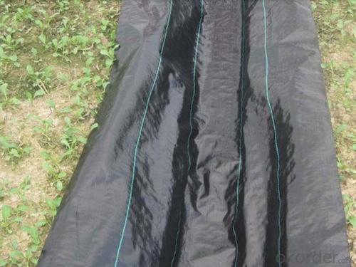 Thrace Geotextile PP Weed Barrier Fabric for Garden Nursery Orchard System 1