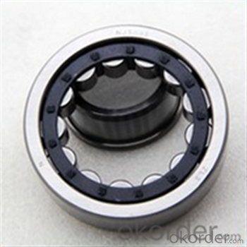 Cylindrical Roller Bearing , Chinese Factory N 305 E