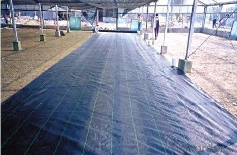 Small Roll Or Cutting Piece Pp NonWoven Fabrics Used For Out Door Plant Cover Or Weed Mat