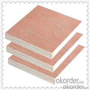 Chinese Manufacturer Poplar Core Material Film Faced Plywood System 1