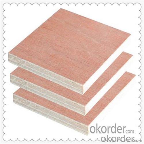 Chinese Manufacturer Poplar Core Material Film Faced Plywood System 1