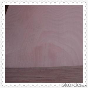 shop top choice 1/2-in common hpva maple plywood